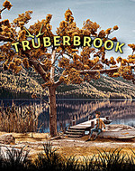 Truberbrook (PC) Klíč Steam